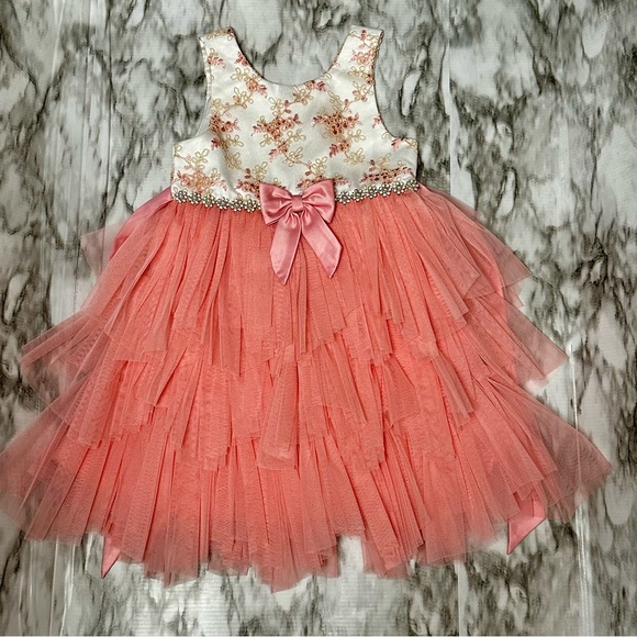American Princess Pink Tulle Dress Sz 6 Floral Jacquard Jeweled Waist Fancy Gown - Picture 2 of 10